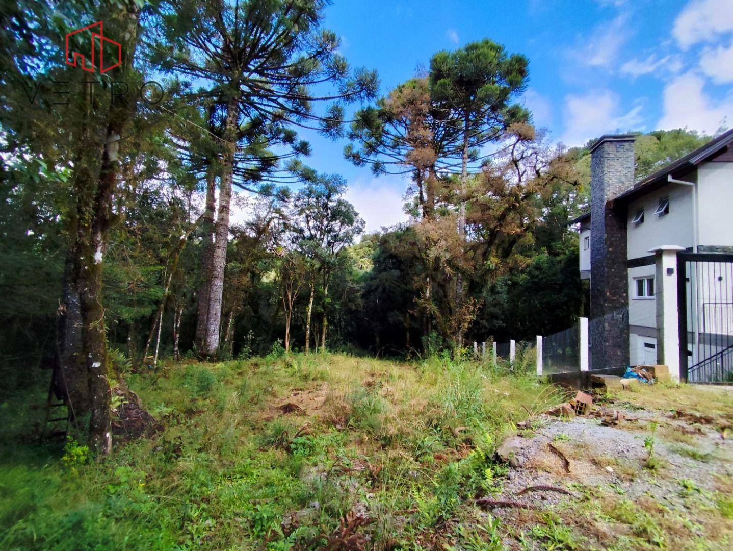 Loteamento e Condomínio à venda, 550M2 - Foto 2