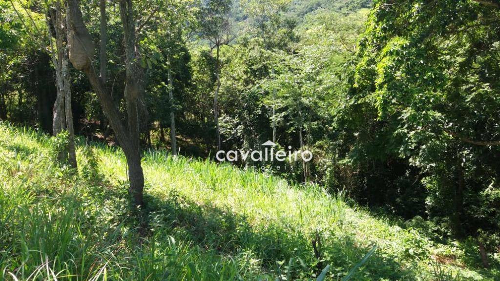 Terreno à venda, 5980M2 - Foto 5