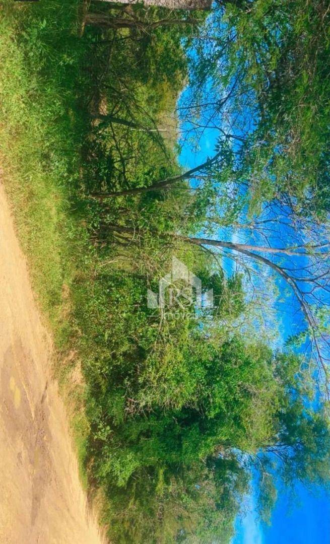 Terreno, 10000 m² - Foto 2