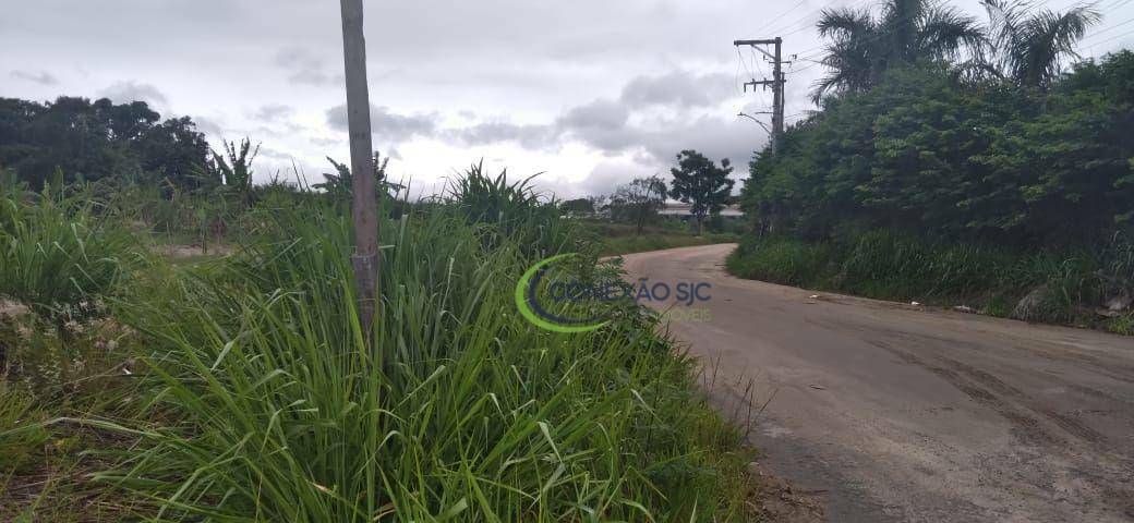 Terreno à venda, 10000M2 - Foto 1