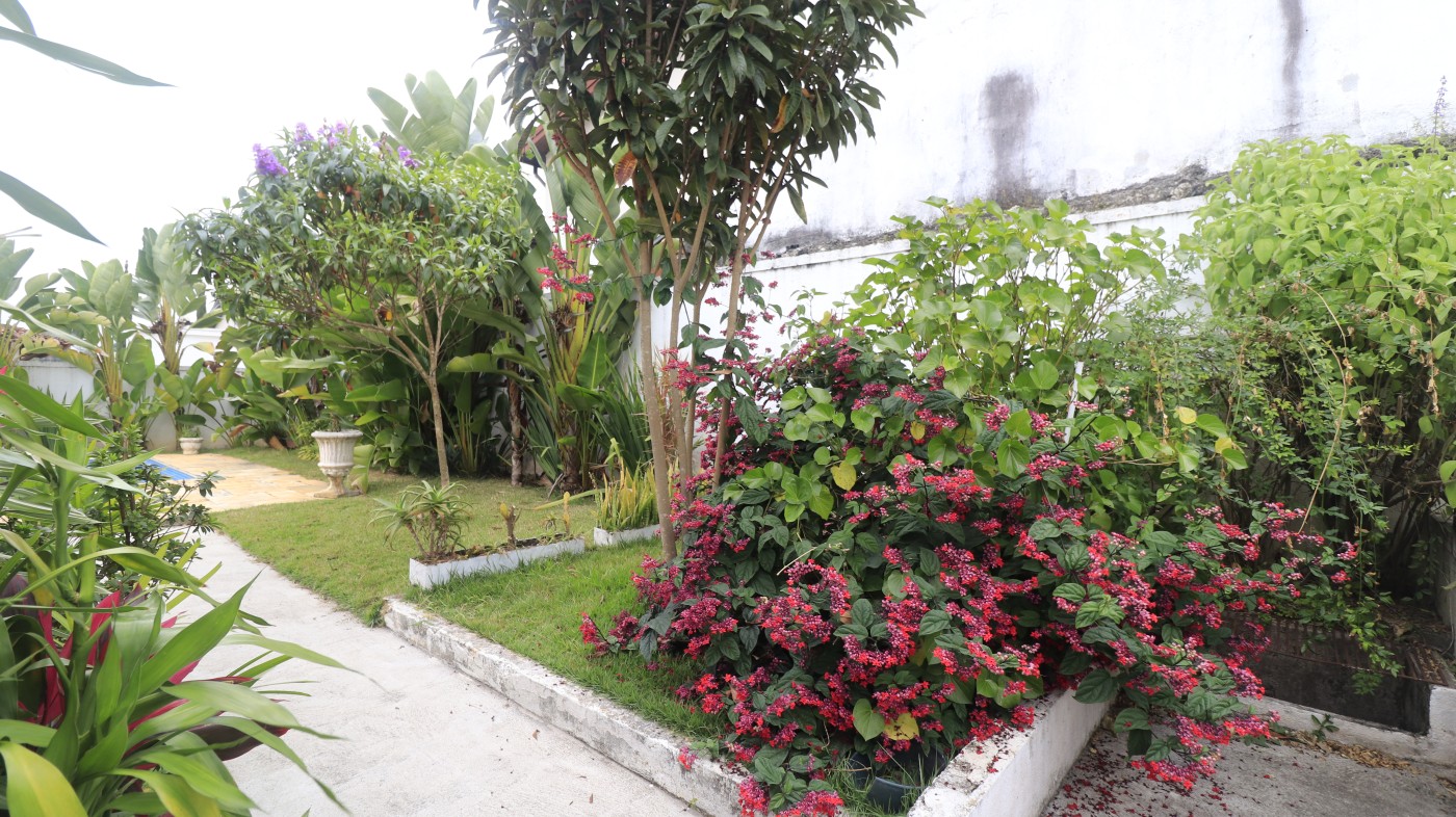 Casa para alugar com 3 quartos, 350m² - Foto 35