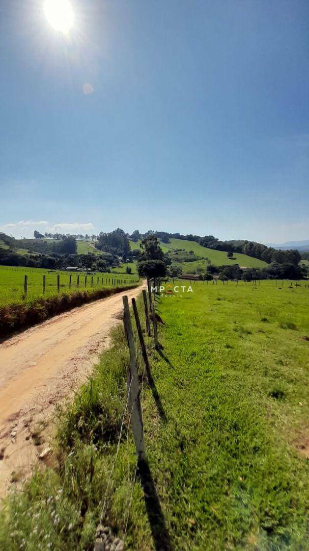 Terreno à venda, 10000M2 - Foto 5