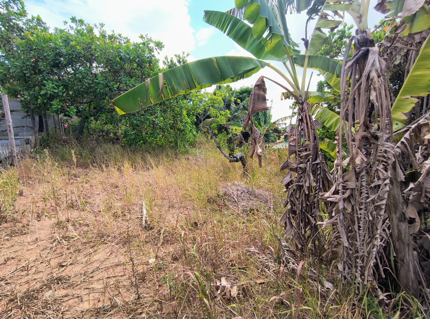 Terreno à venda, 450m² - Foto 5