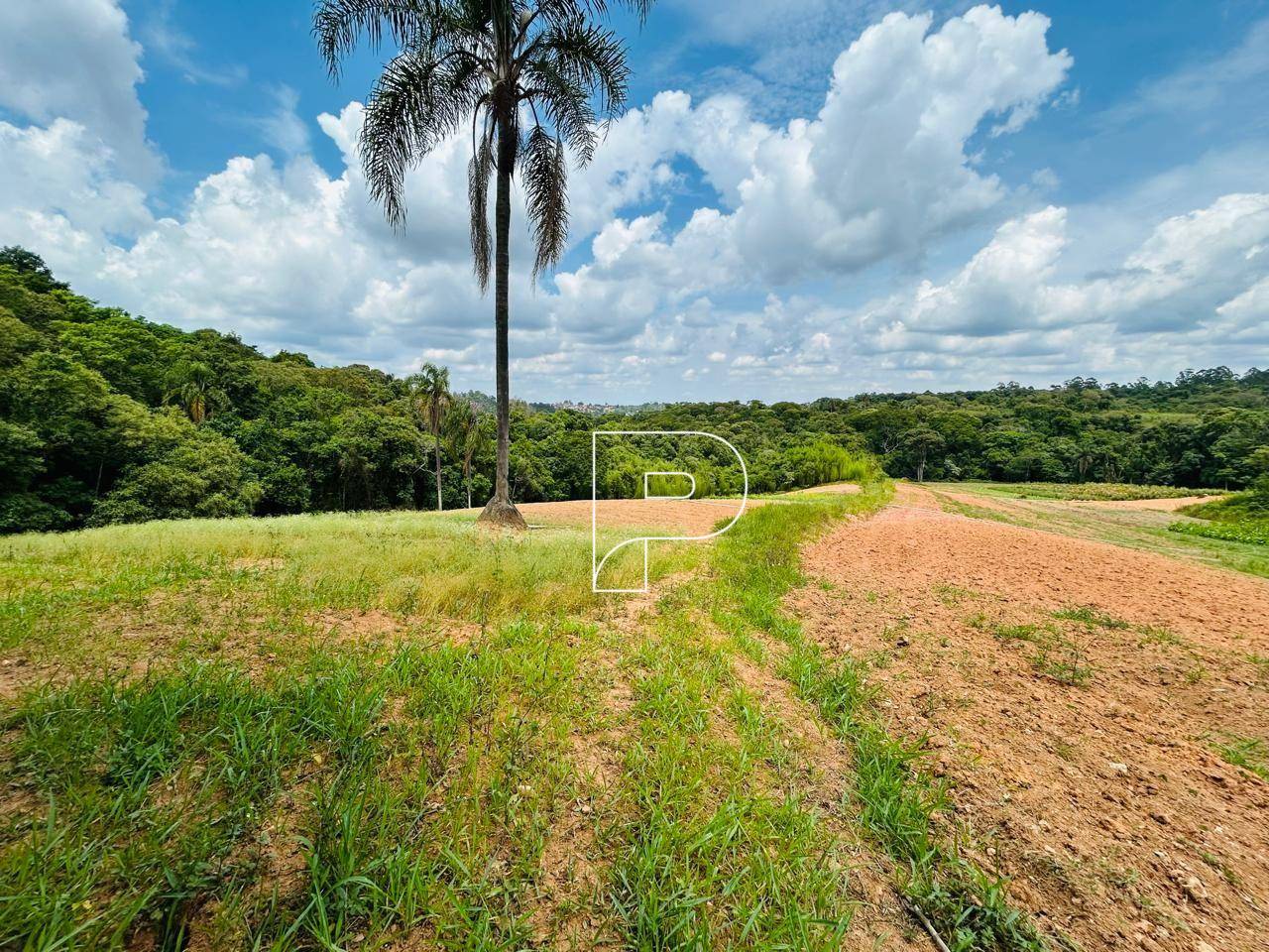 Terreno, 5 hectares - Foto 11