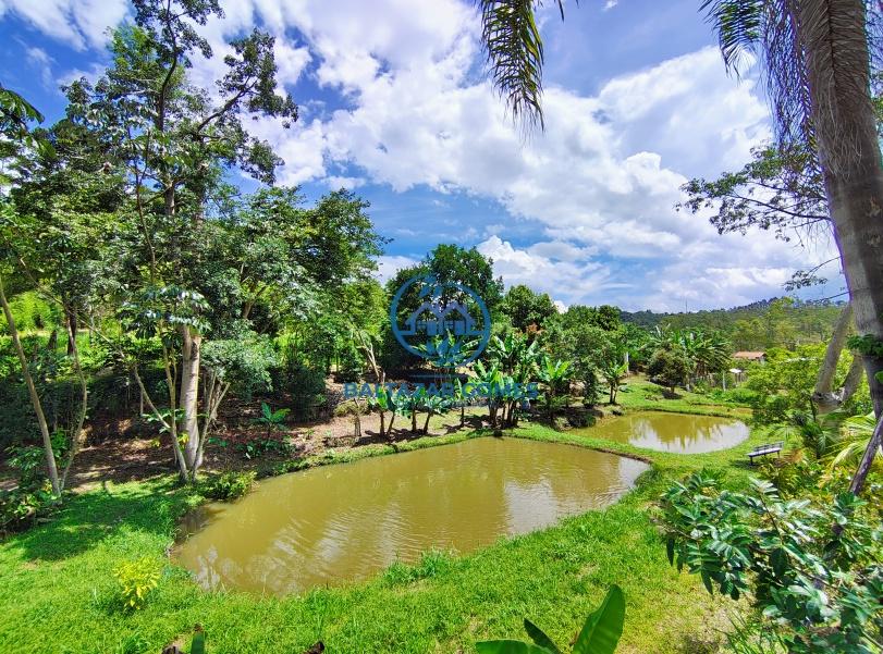 Fazenda à venda com 4 quartos, 10000m² - Foto 7