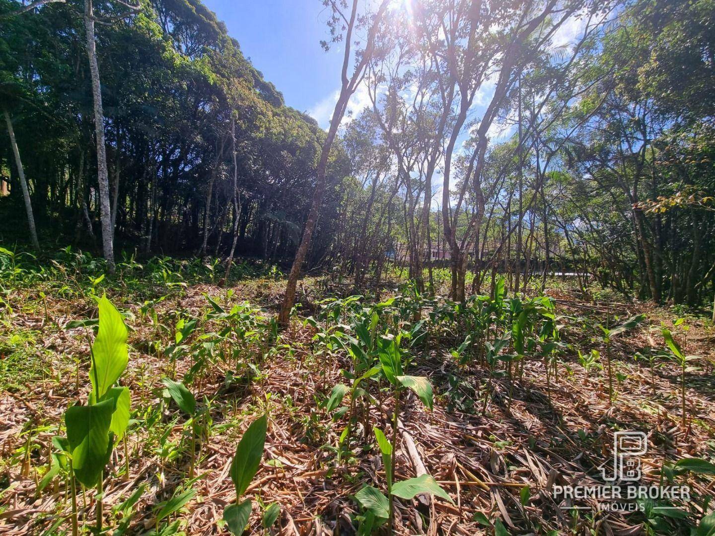 Loteamento e Condomínio à venda, 4430M2 - Foto 4