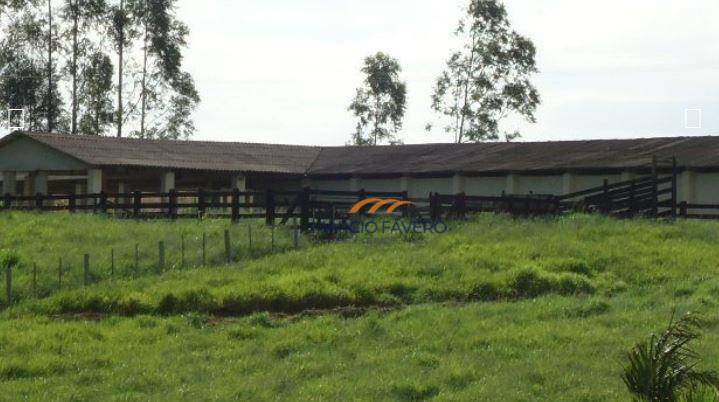 Fazenda à venda, 2299000M2 - Foto 11