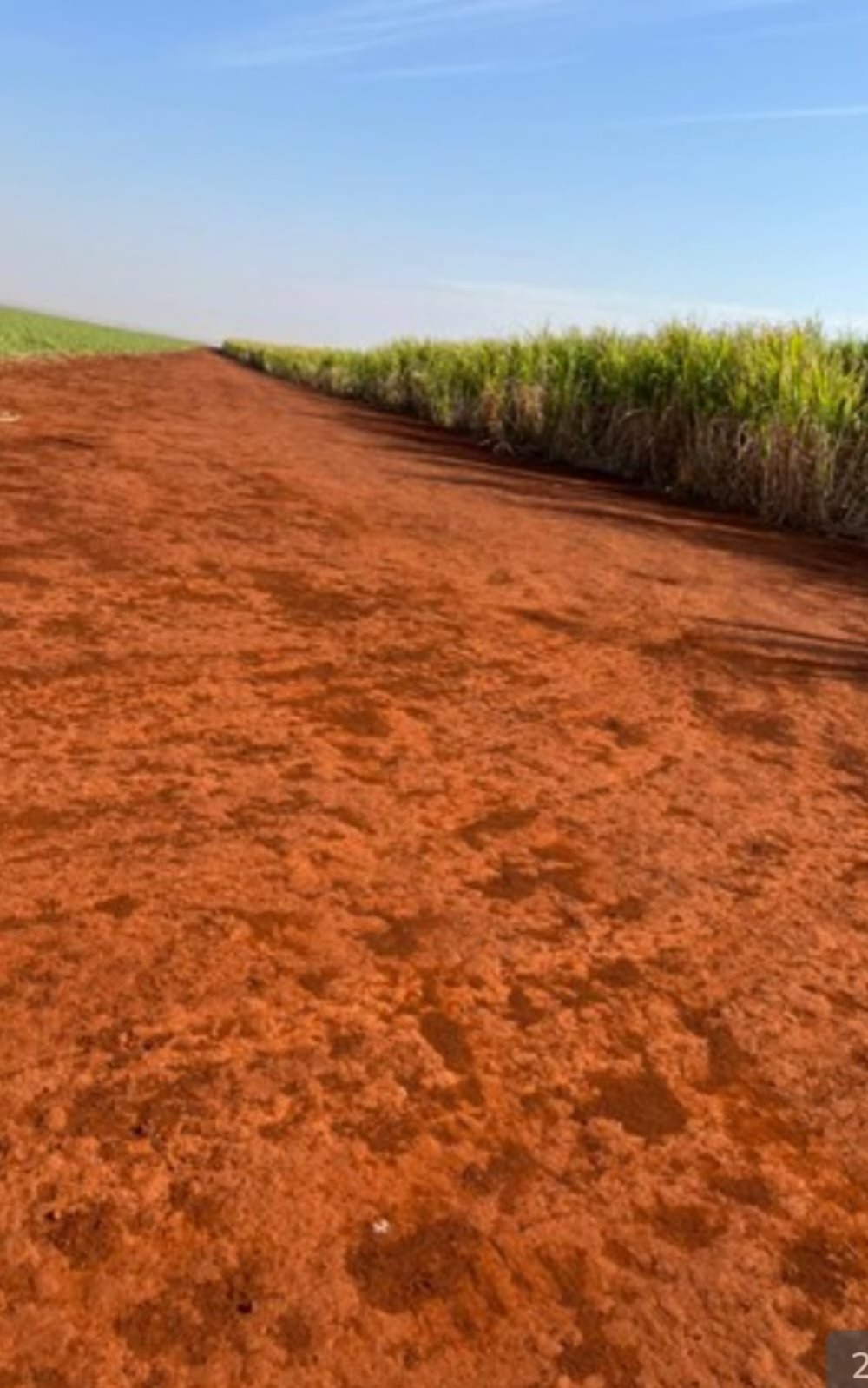 Fazenda-Sítio-Chácara, 458 hectares - Foto 4