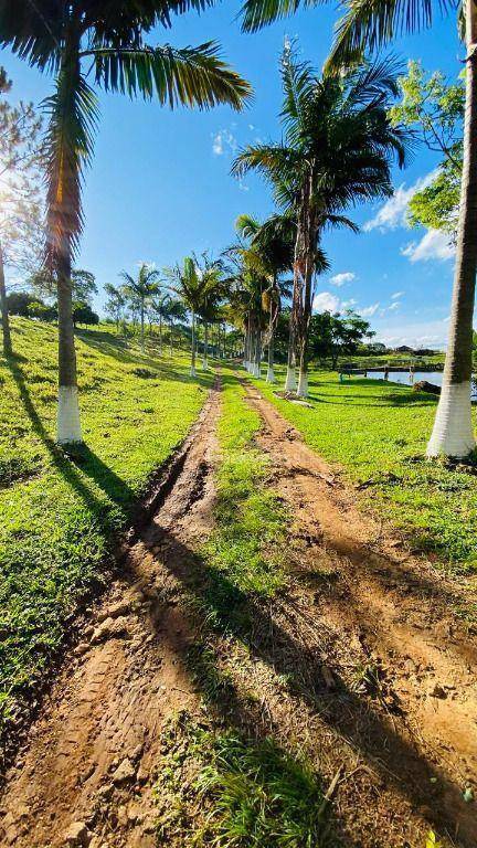 Fazenda, 286 hectares - Foto 5