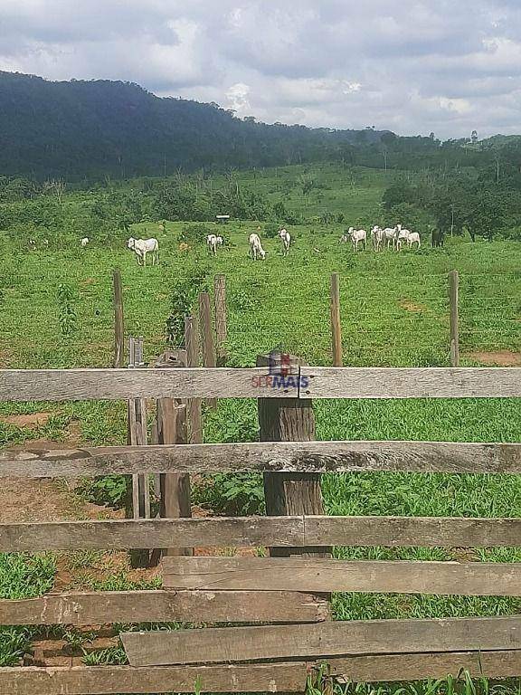 Sítio à venda com 1 quarto, 653400M2 - Foto 2