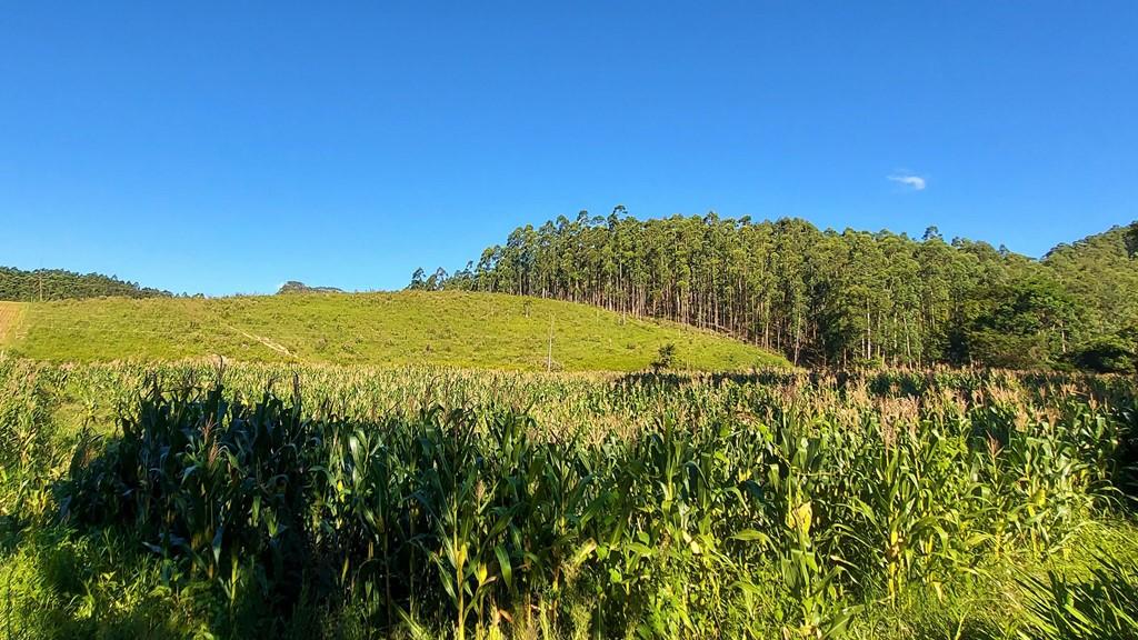 Fazenda à venda, 100000m² - Foto 2