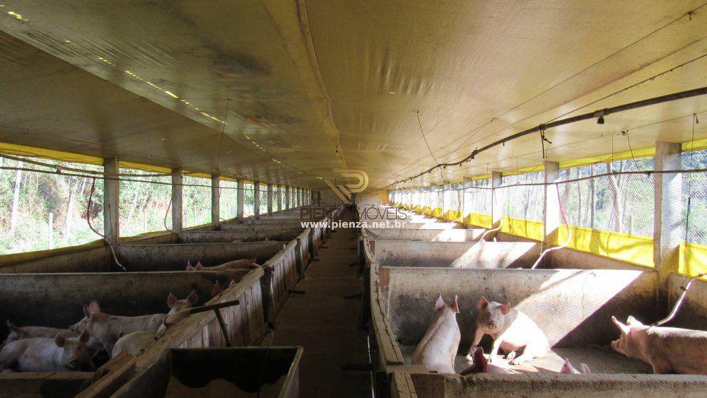 Loteamento e Condomínio à venda, 60000m² - Foto 28