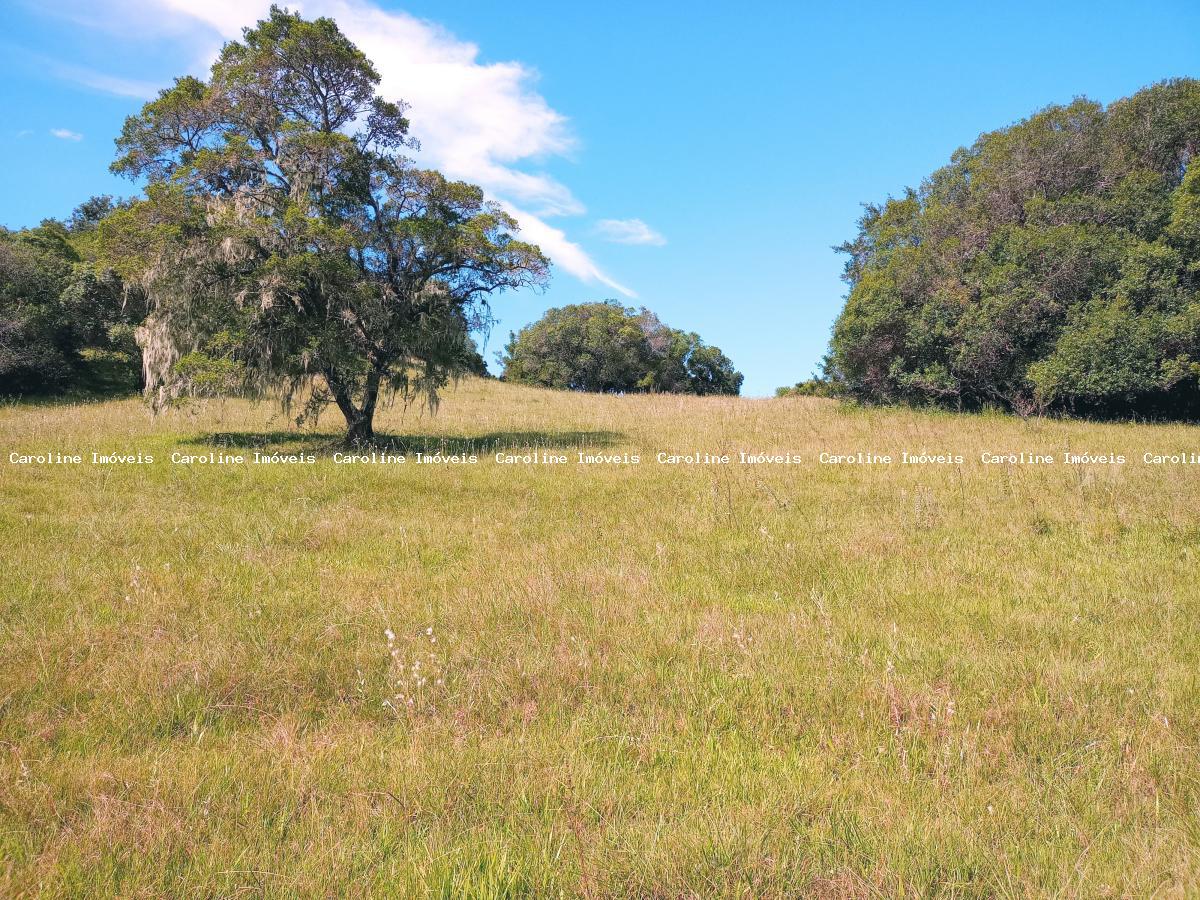 Fazenda à venda com 5 quartos, 625000m² - Foto 48