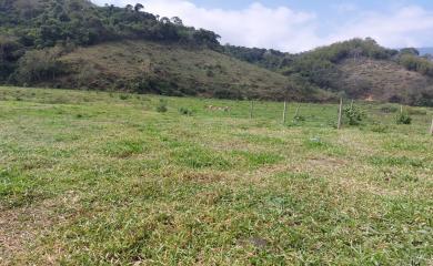 Fazenda à venda com 3 quartos, 290000m² - Foto 15