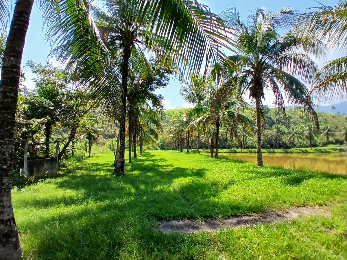 Fazenda à venda com 3 quartos, 26000m² - Foto 18