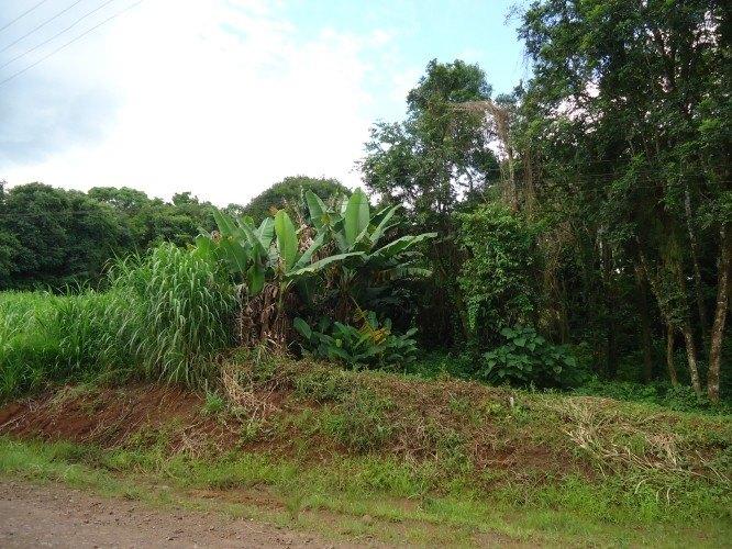 Fazenda à venda - Foto 6