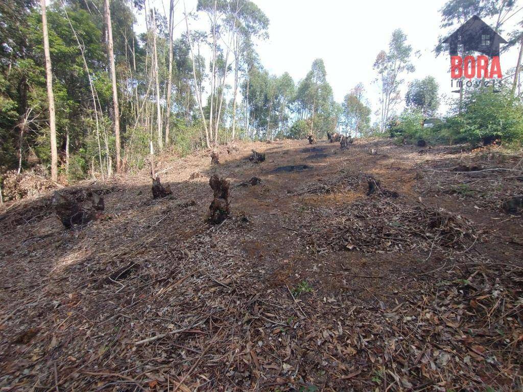 Terreno à venda, 665M2 - Foto 4