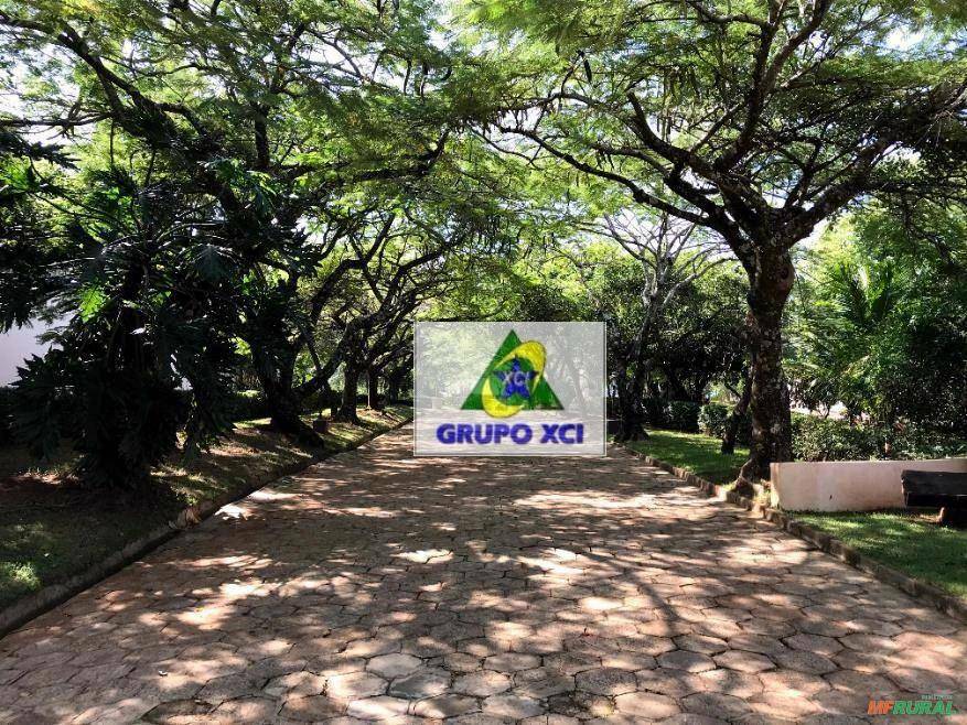 Sítio, 6 quartos, 25 hectares - Foto 4