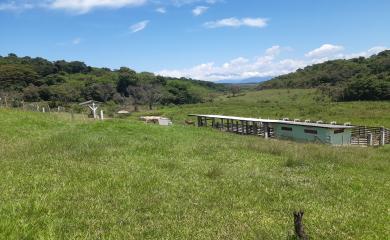 Fazenda à venda com 2 quartos, 145000m² - Foto 16