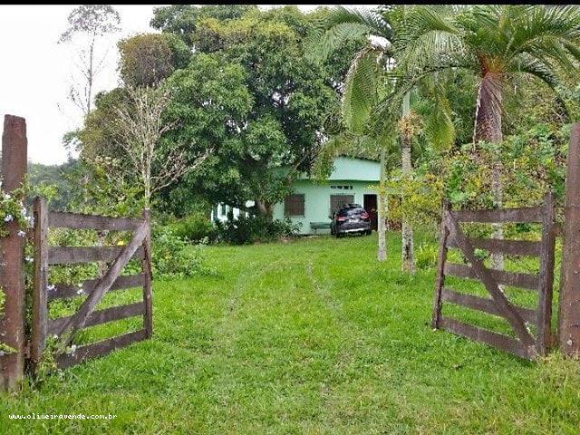 Fazenda à venda com 3 quartos, 6000m² - Foto 1