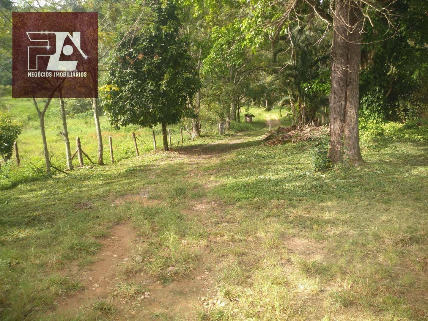 Fazenda à venda com 4 quartos, 1452000M2 - Foto 44