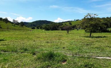 Sítio à venda com 2 quartos, 210000m² - Foto 12