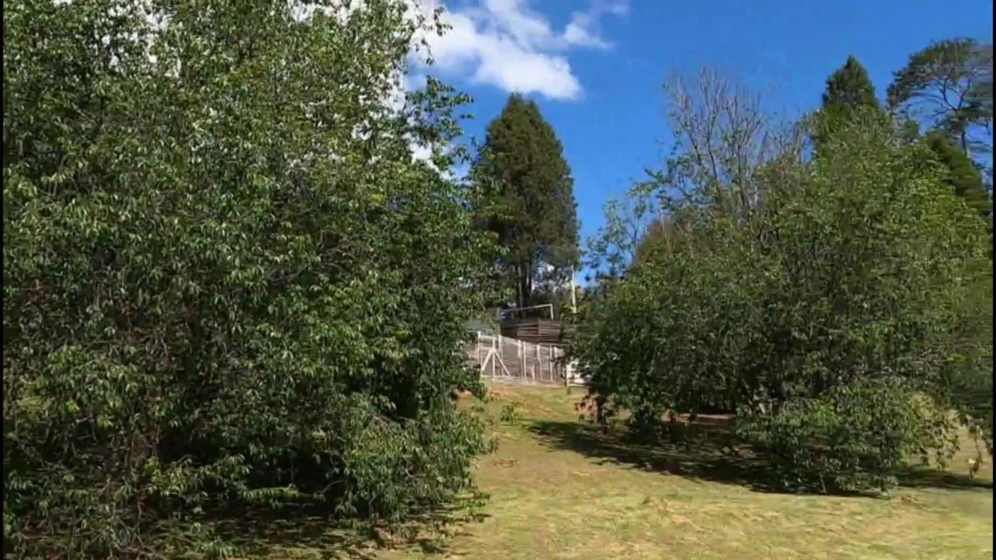 Terreno à venda, 5000m² - Foto 12