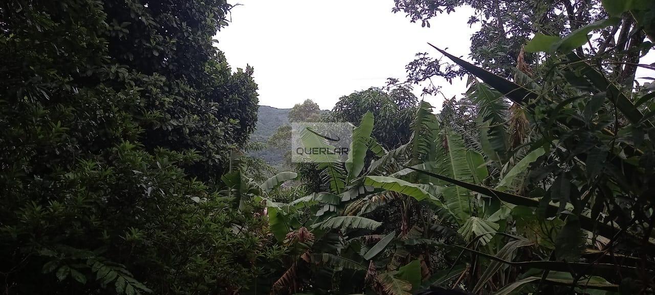 Fazenda à venda com 3 quartos, 100m² - Foto 7