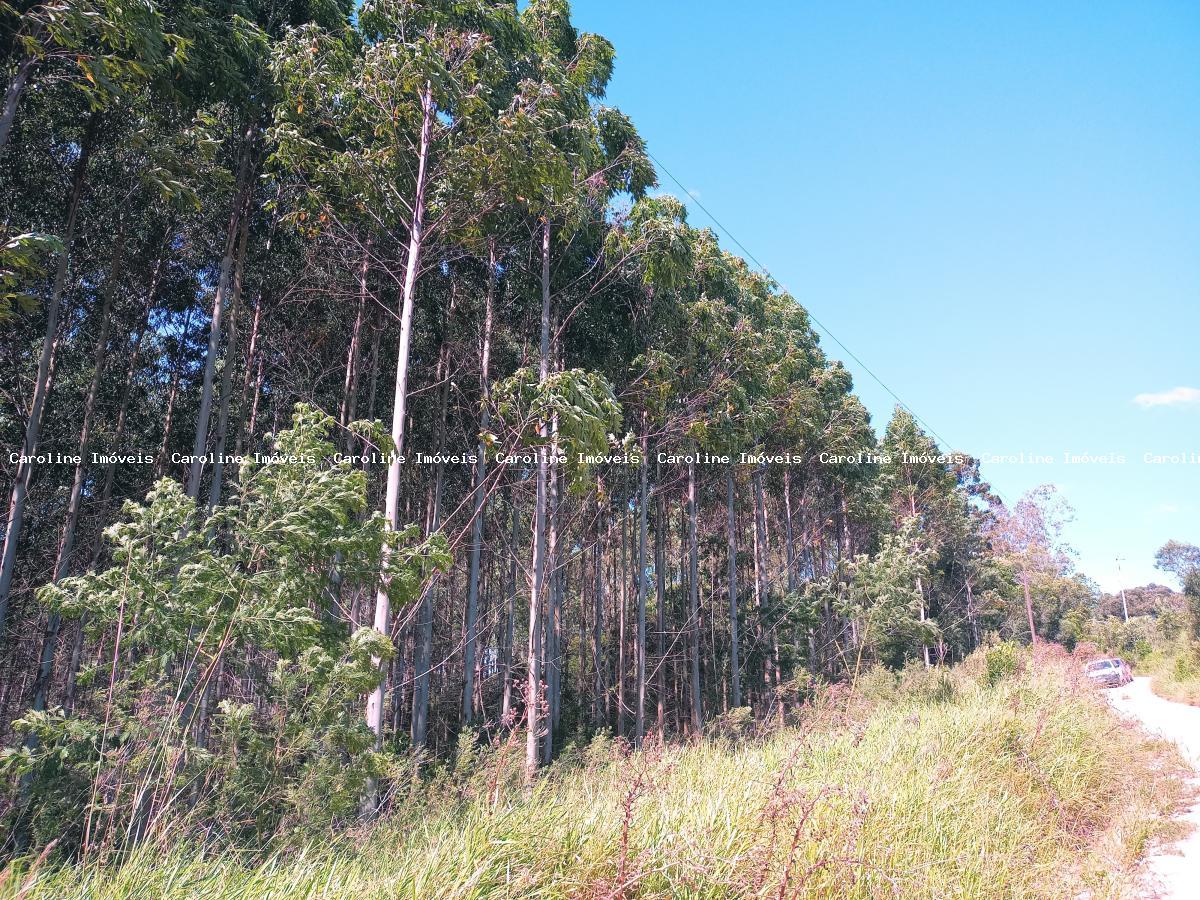 Loteamento e Condomínio à venda, 30000m² - Foto 2