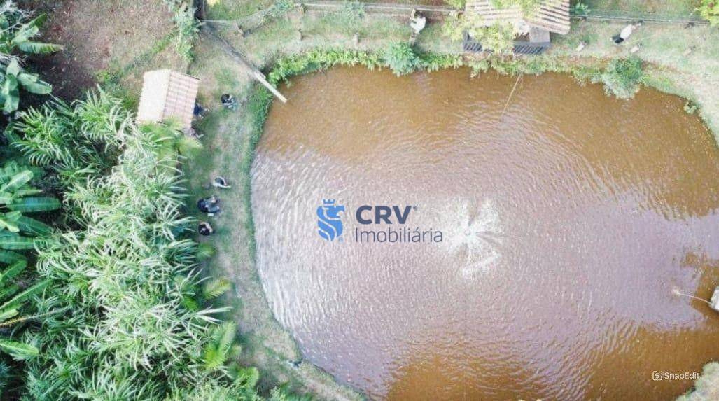 Chácara, 4 quartos, 3 hectares - Foto 27