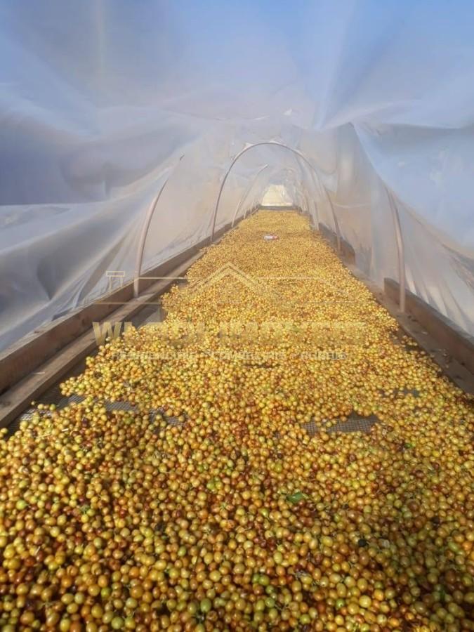 Fazenda-Sítio-Chácara, 20 m² - Foto 16