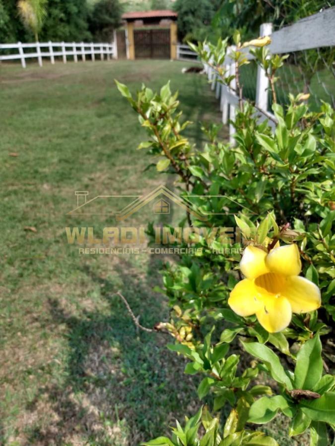 Fazenda à venda com 3 quartos, 50000m² - Foto 23