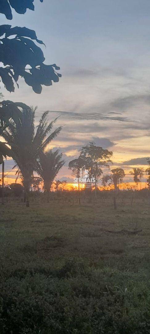 Fazenda à venda com 3 quartos, 726000M2 - Foto 13