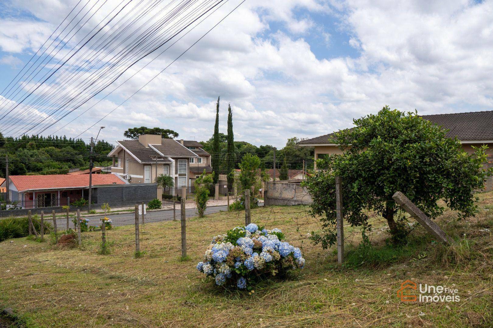 Terreno à venda, 394M2 - Foto 6