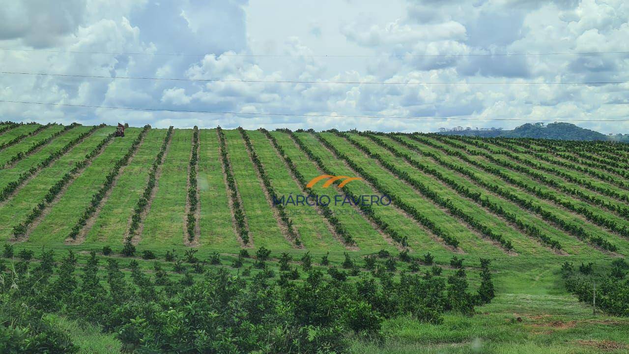 Fazenda-Sítio-Chácara, 225 hectares - Foto 4