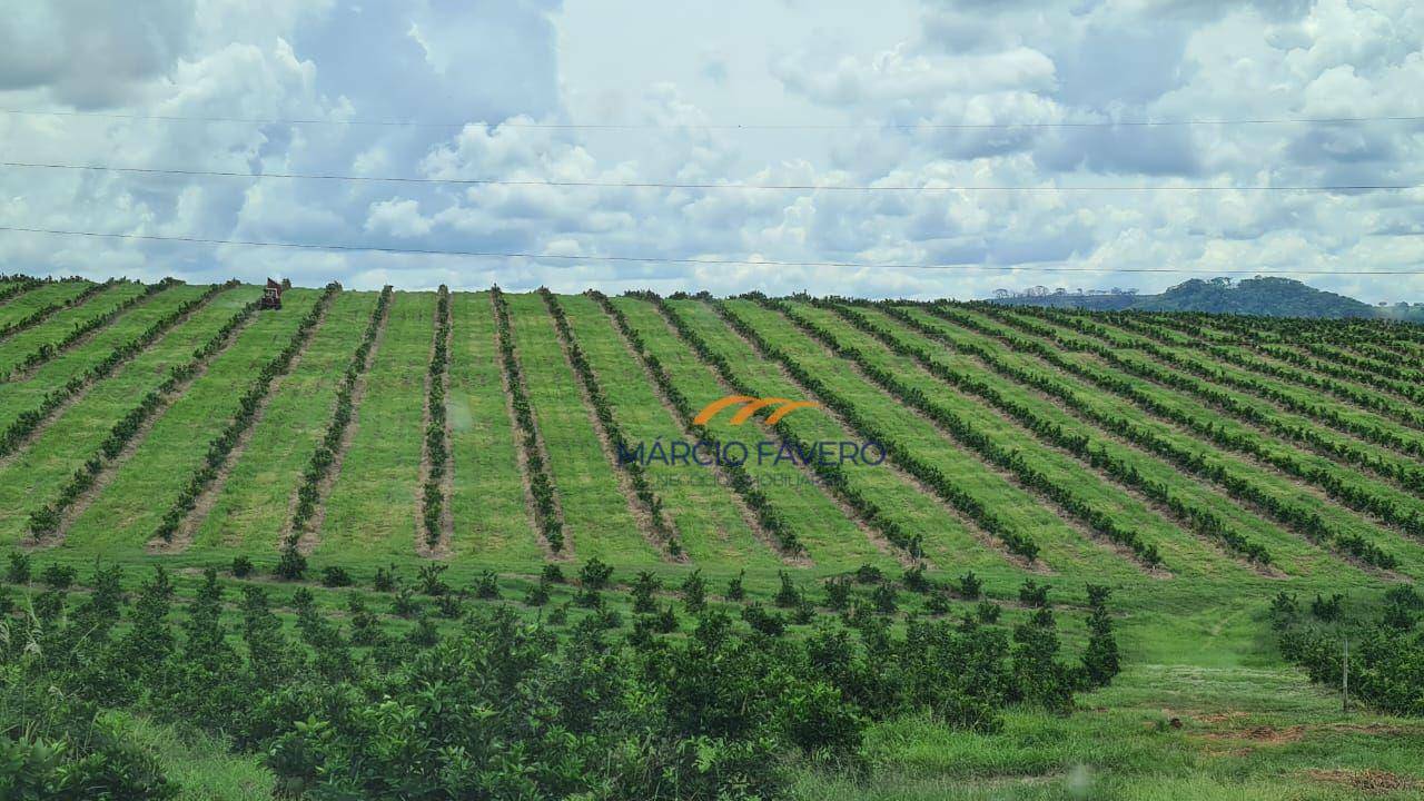 Fazenda à venda, 2250600M2 - Foto 4