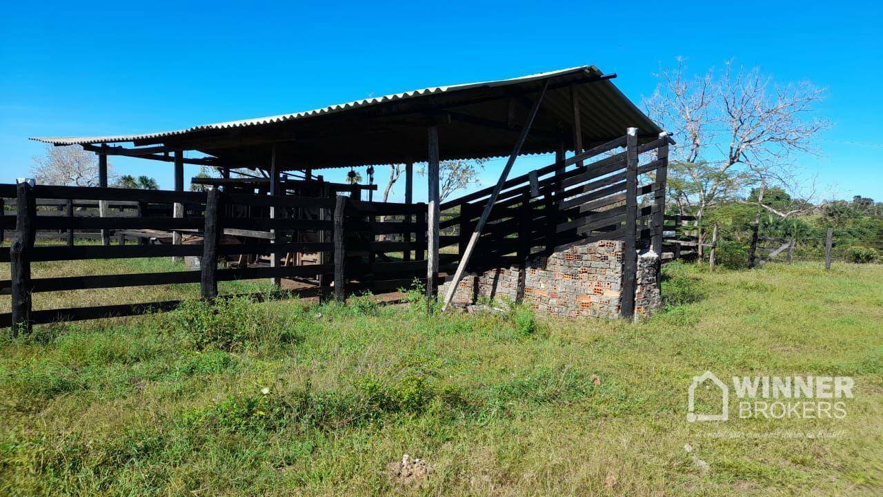 Fazenda à venda com 2 quartos, 4500000M2 - Foto 36