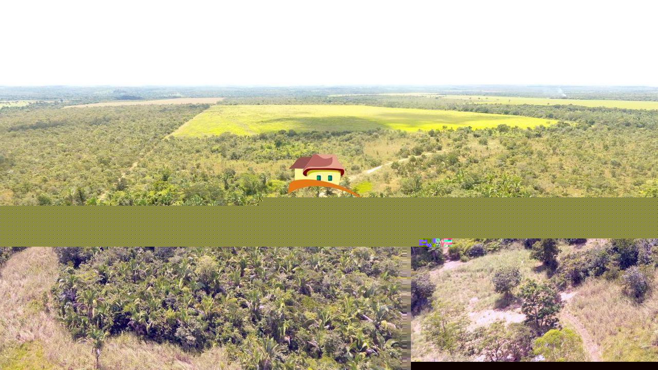 Fazenda, 387 hectares - Foto 5