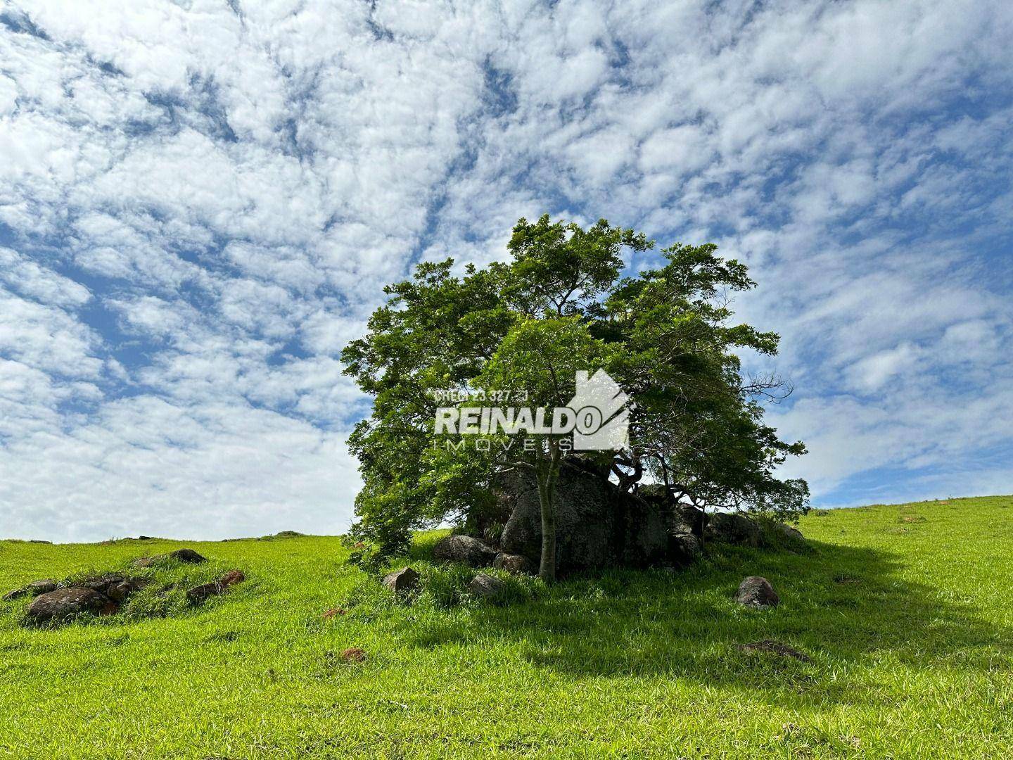 Fazenda à venda com 8 quartos, 950m² - Foto 9