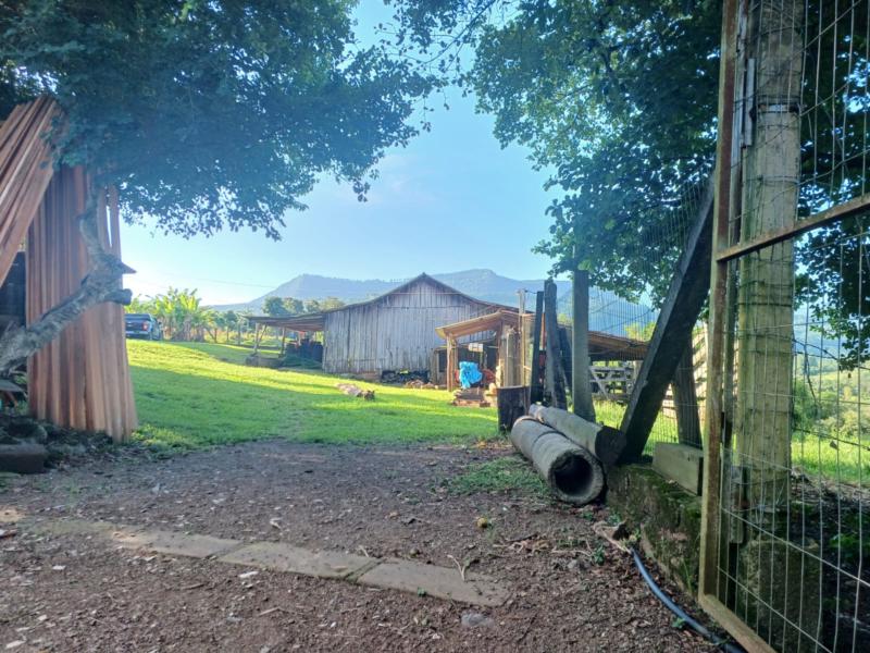 Sítio à venda com 1 quarto, 150m² - Foto 33