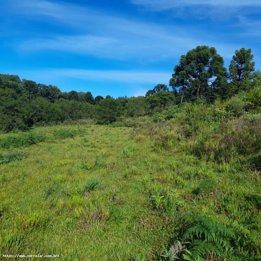 Fazenda à venda, 10m² - Foto 8