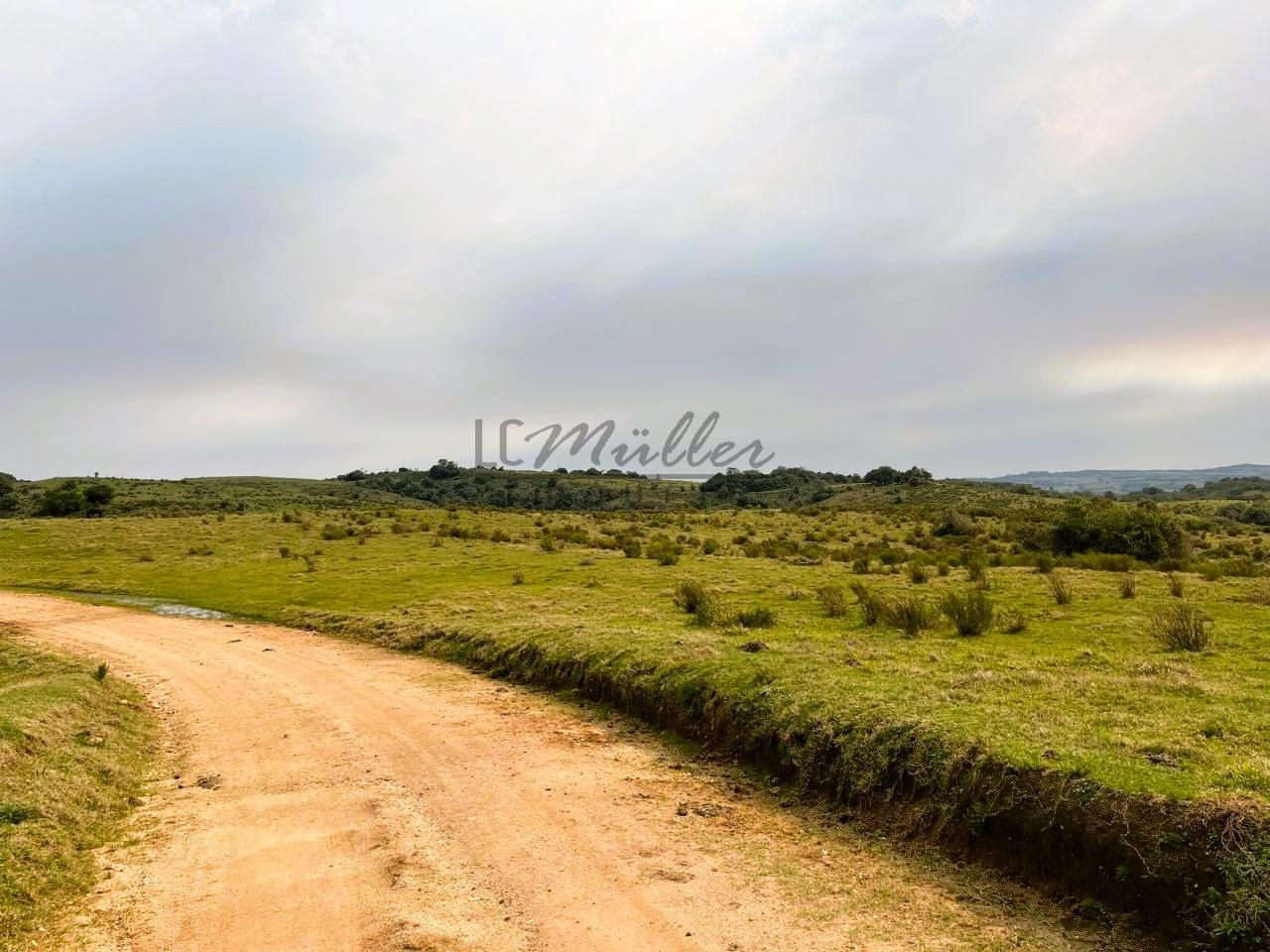 Fazenda à venda, 386m² - Foto 6