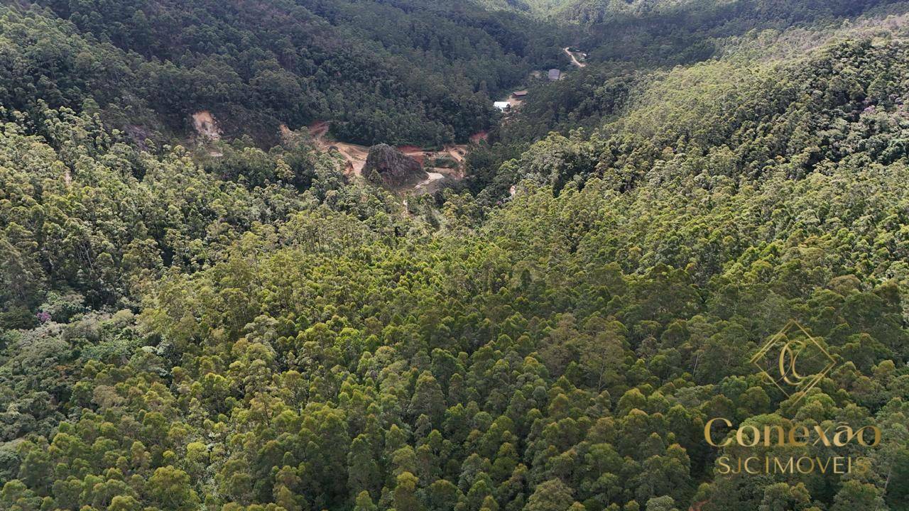 Fazenda, 121 hectares - Foto 1