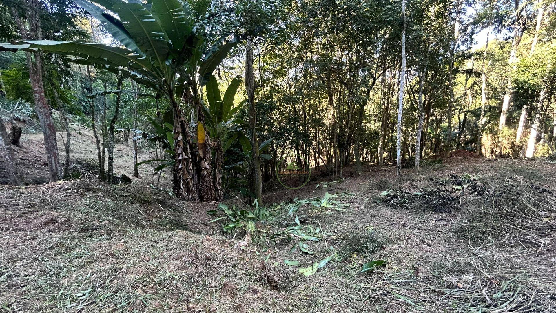 Terreno, 10000 m² - Foto 6