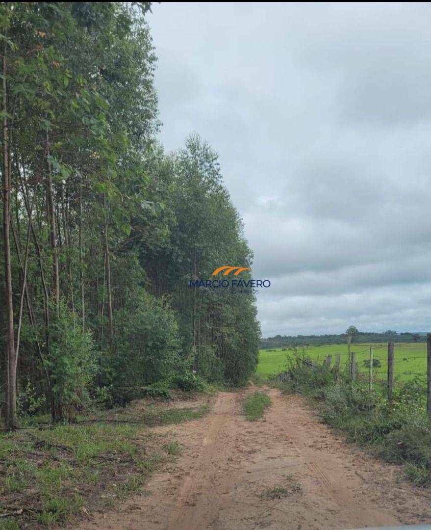 Sítio, 62 hectares - Foto 3