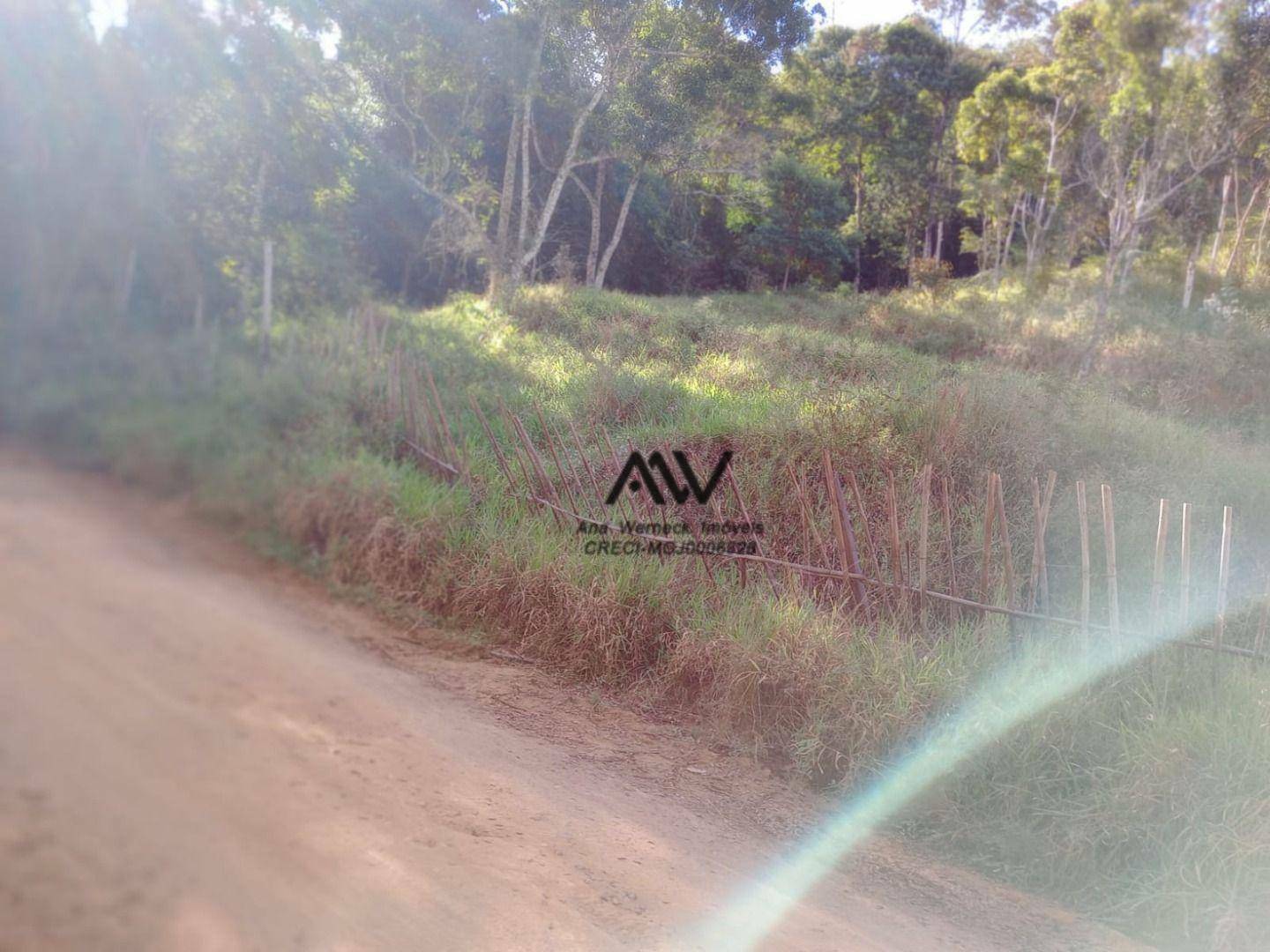 Terreno, 10000 m² - Foto 4