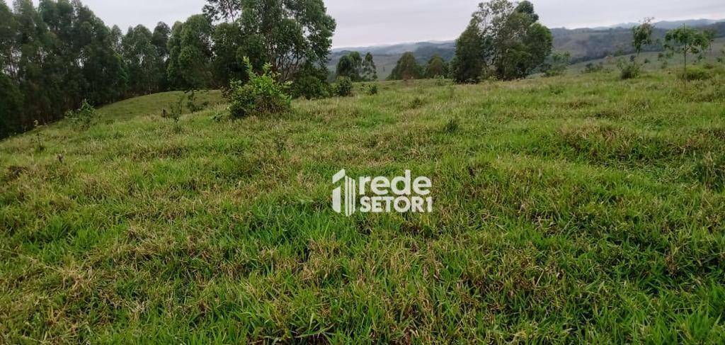 Fazenda à venda com 3 quartos, 1110000M2 - Foto 68