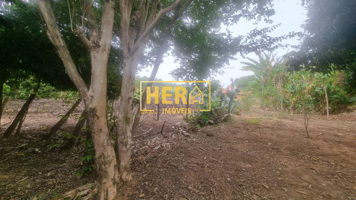 Chácara à venda com 2 quartos, 242m² - Foto 3