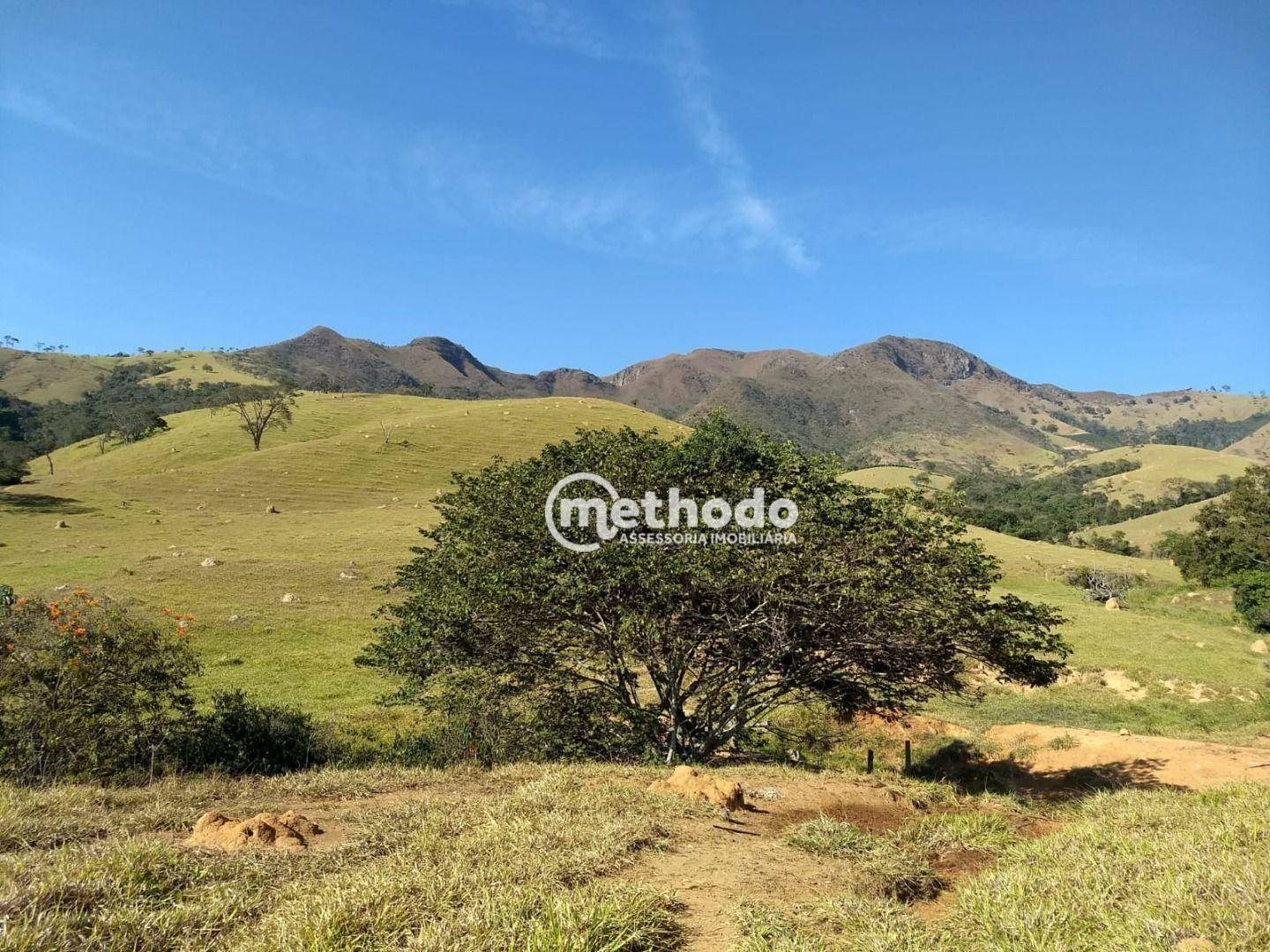 Fazenda à venda com 3 quartos, 123m² - Foto 11