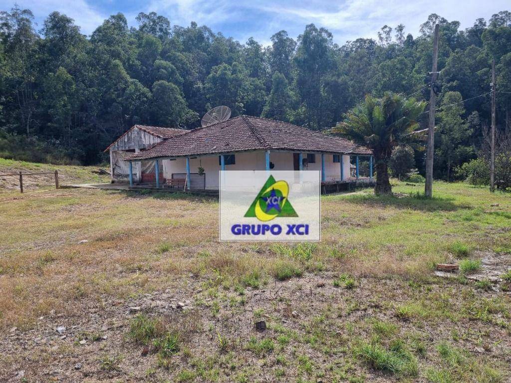 Fazenda-Sítio-Chácara, 250 hectares - Foto 19